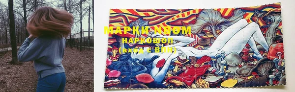 PSILOCYBIN Осинники
