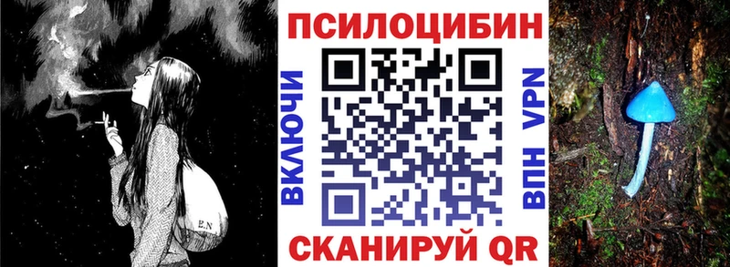Псилоцибиновые грибы Psilocybine cubensis  Чадан 